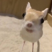 psiur