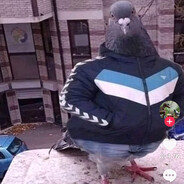hujjemOBlat
