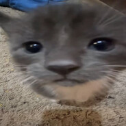 Krupy_