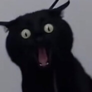 chmureczqa