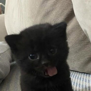 zeruuux