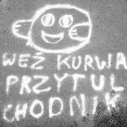 Kaczor997