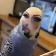 k00necka