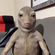 kamilciapek