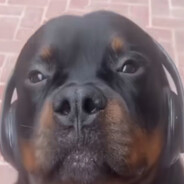 borkoss