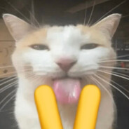 DuDuSeK