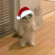 cxqk_