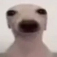 chlebekk
