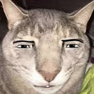 Palbo