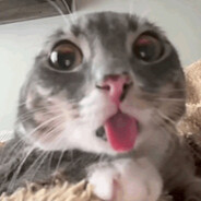 Husaszggg