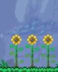 Screenshot_48.png