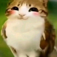 ktffs