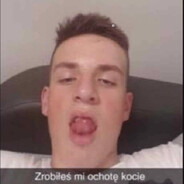 halucynek