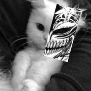 Cygan666