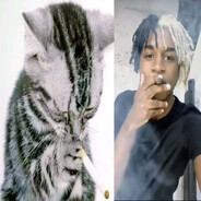 opmbabi
