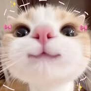 ViKo