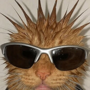 oski123