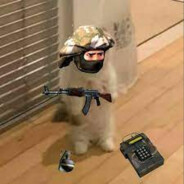 FranekN20
