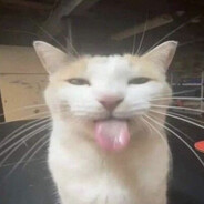Zynoxx