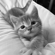 kacper_spo01