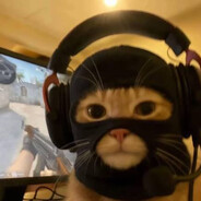 madryosiol