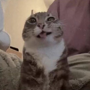 hfgfhjfgfhfgf