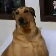 majster_9
