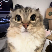 P!TECEK