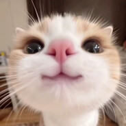 898