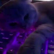kokosek14