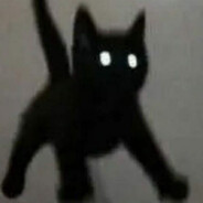 :pppp