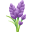 lavender.png