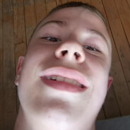gerberek43