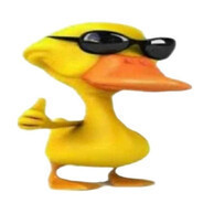 Nosty