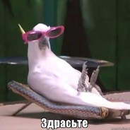 maks_bro4896