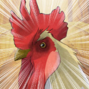 zaimek