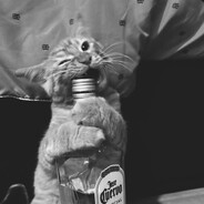 Luty