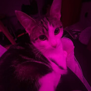 bigosssss
