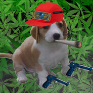 MAUPA