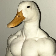 wilczakkk