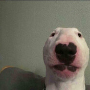 bertbert020