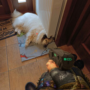 LOLbit