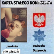 novaczek1971