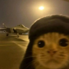 ReeeFoX