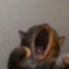 Maniek666