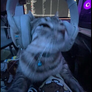 PIng_kaim