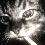 misiekthebest