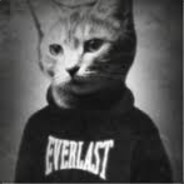 GENERAL CLEANER