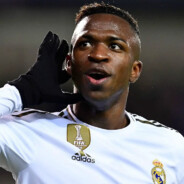 VINI1