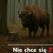 Dziui2k